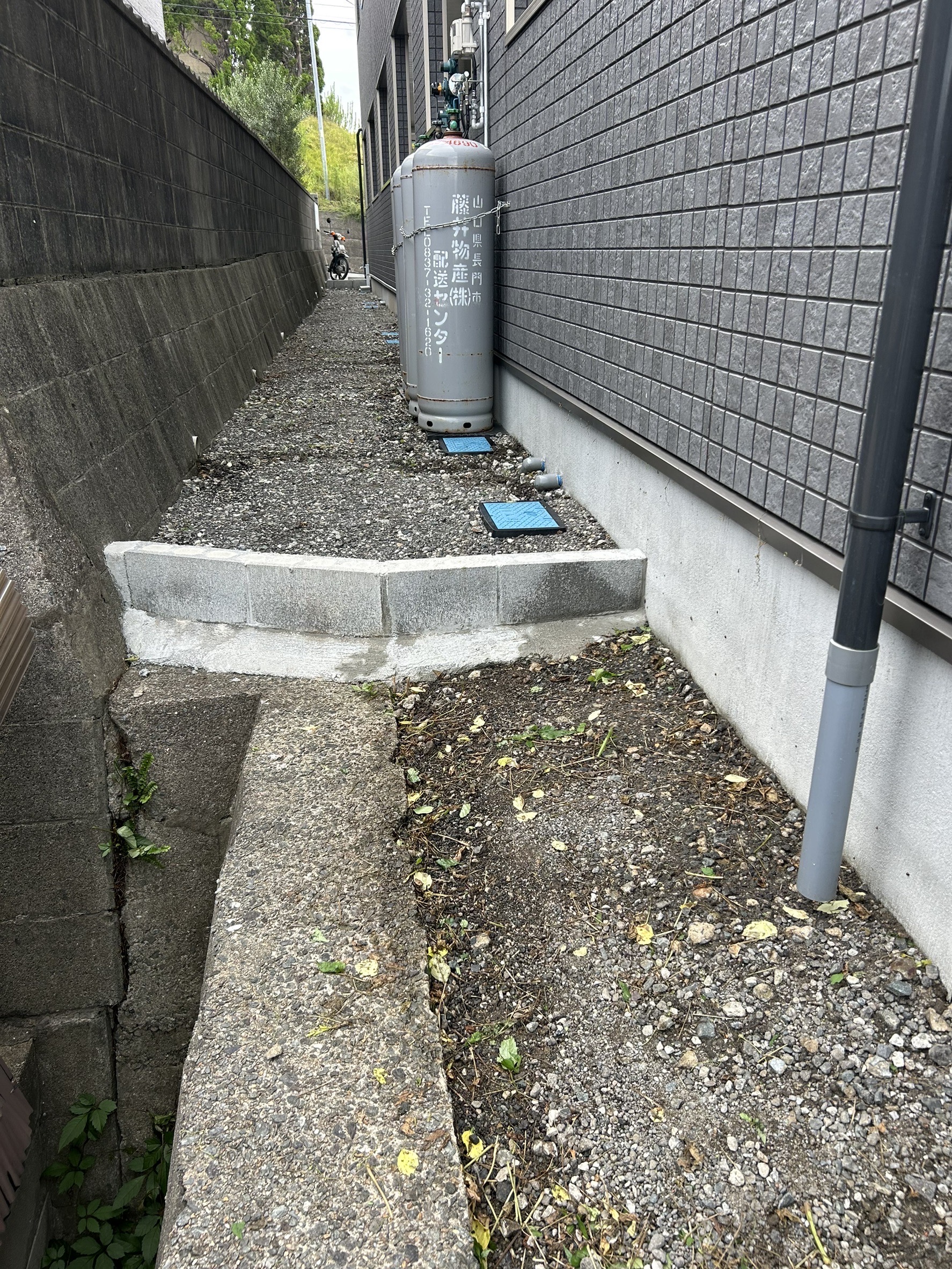 神集 草刈り・伐採3